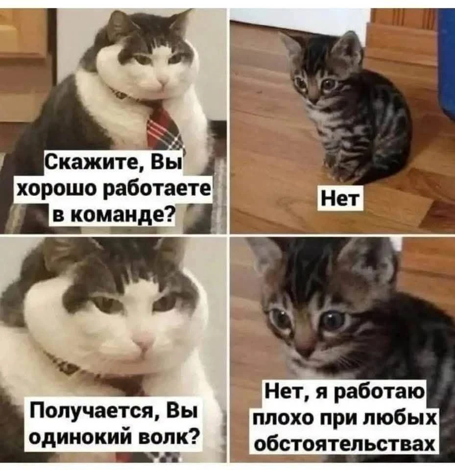 Все участникам домовых чатов, и в чьих многоэтажках есть Совет Дома, всем вам посвящает...