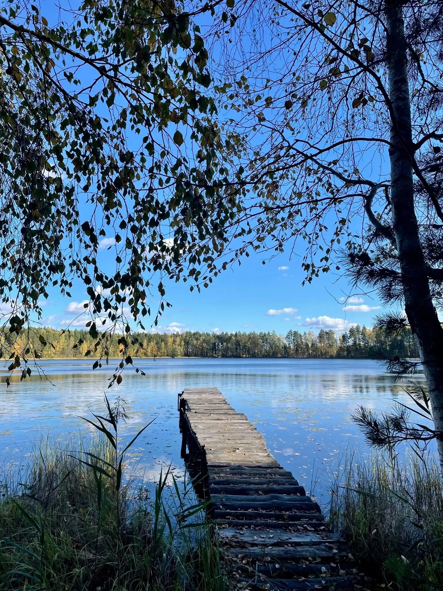 Озеро Чёрненькое🍁