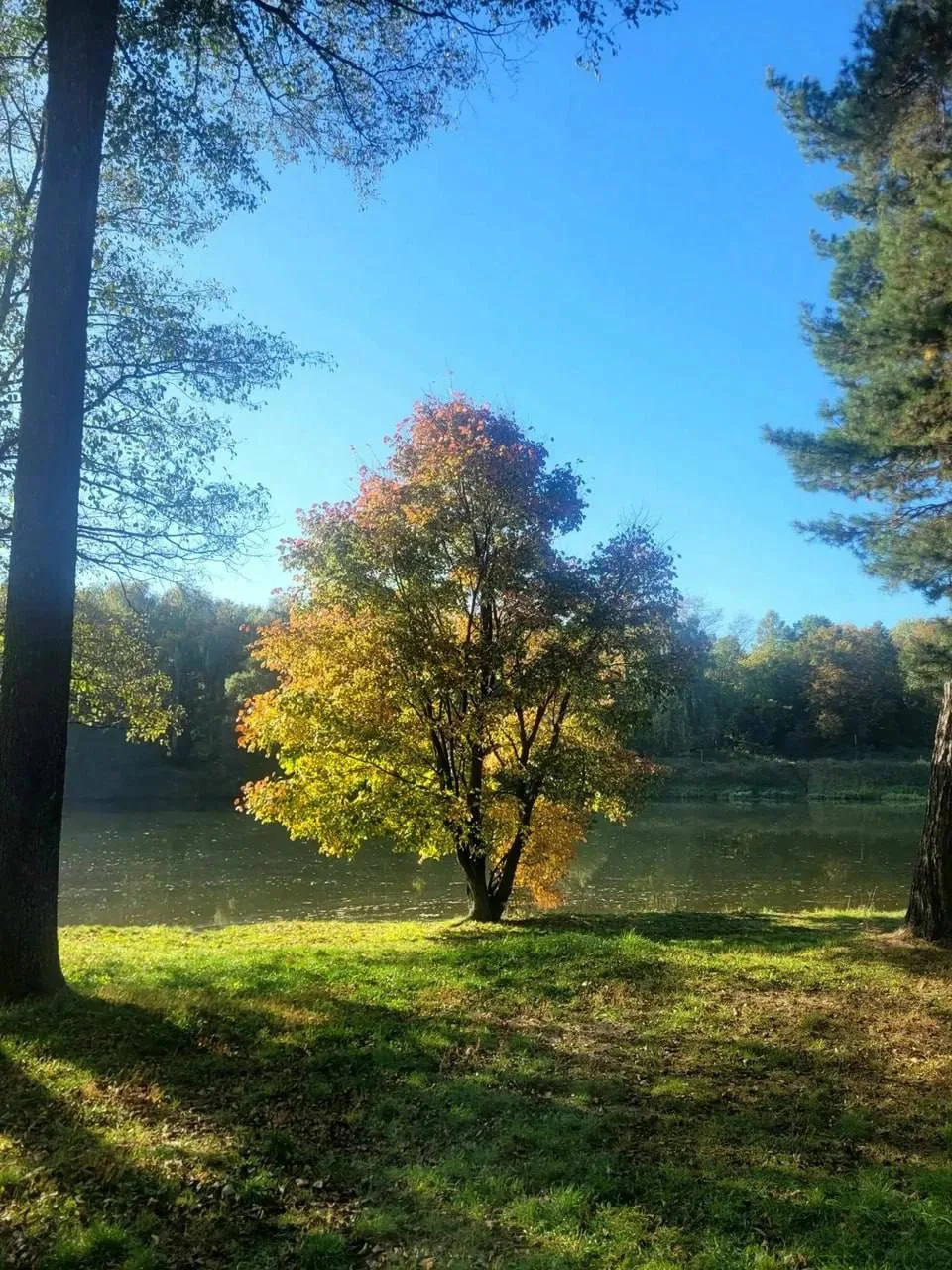 Прекрасное Люблино на не менее чудесных осенних снимках 🍂