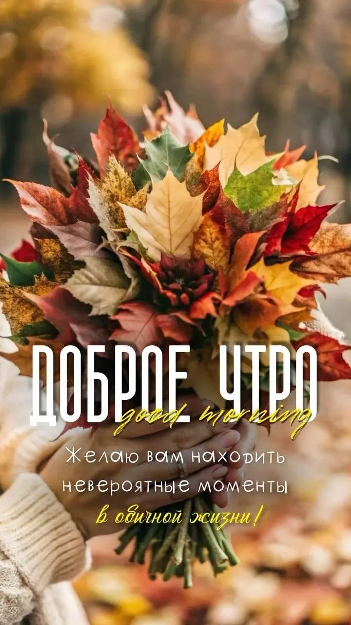 Доброе утро, дорогие мои! ✨