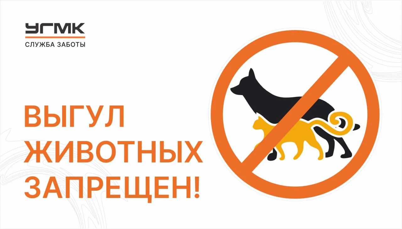 Напоминаем Вам, что при выгуле домашних питомцев необходимо: