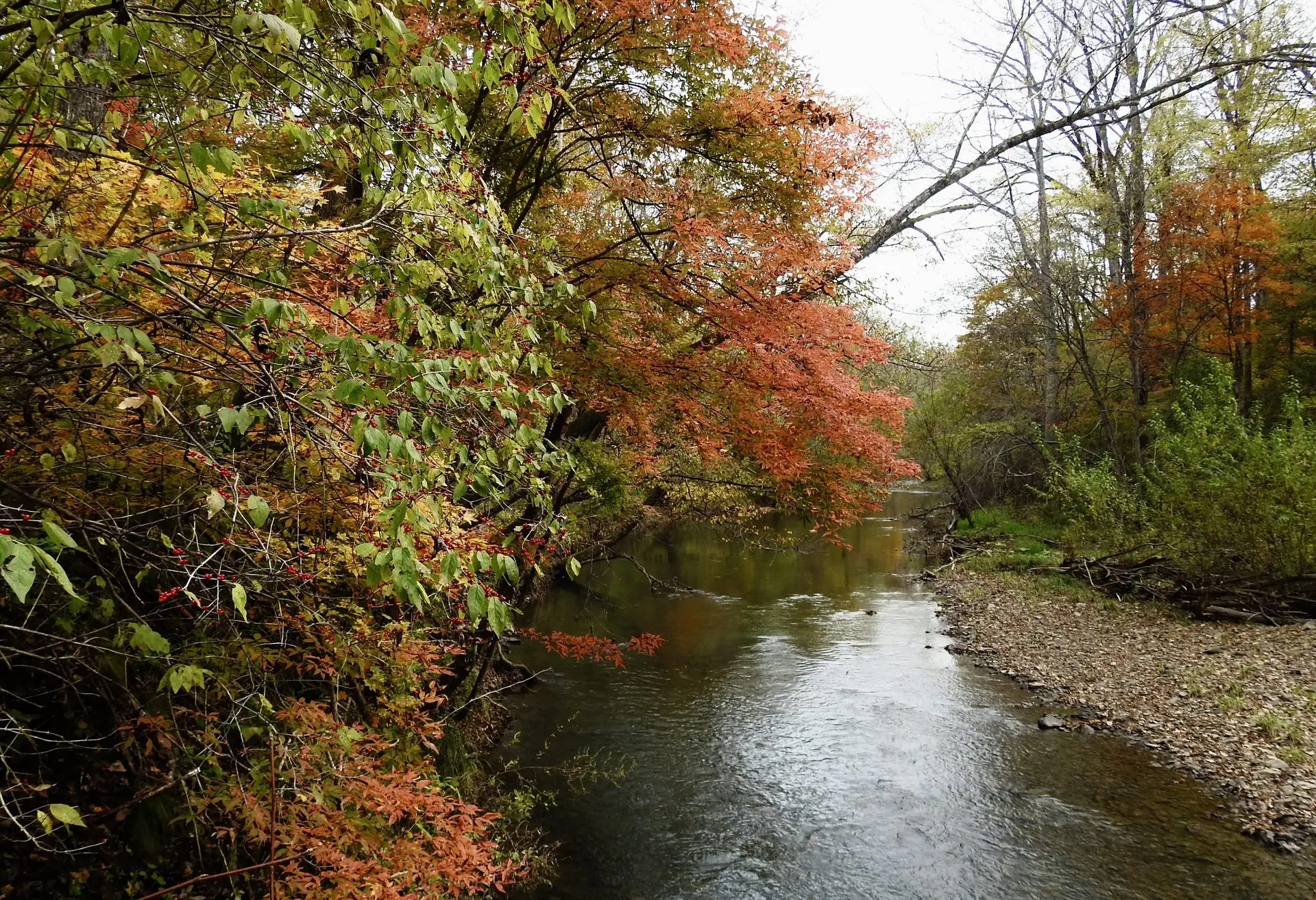 🍂Осенняя сказка Уссурийского заповедника 🍂