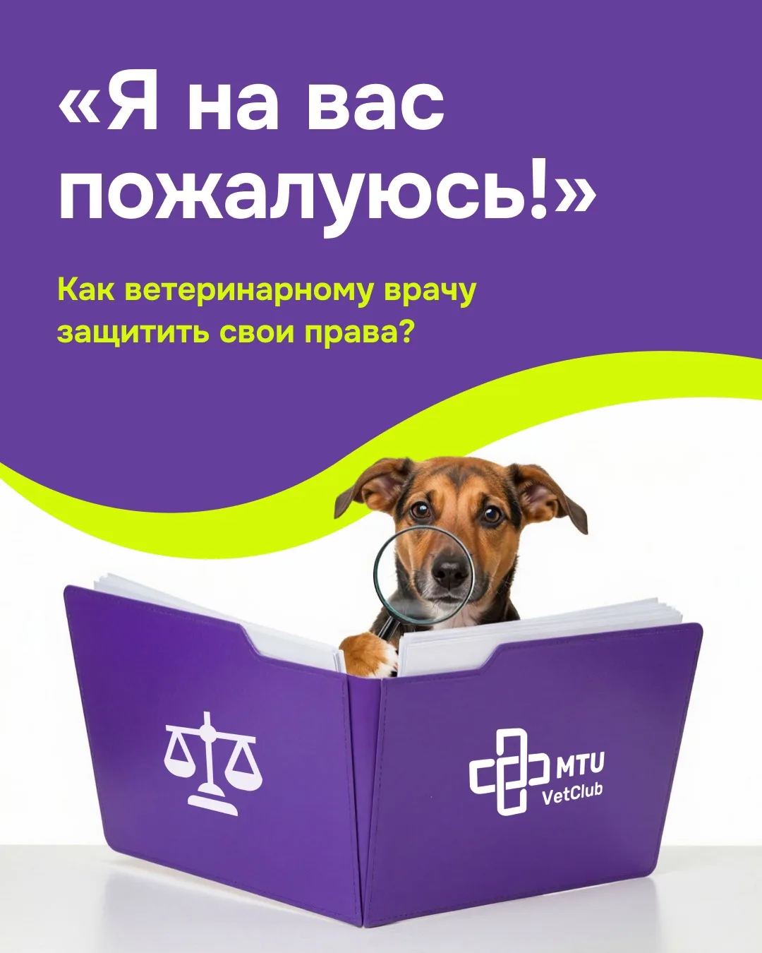 «Я ветеринарный врач. Я просто хочу лечить животных»