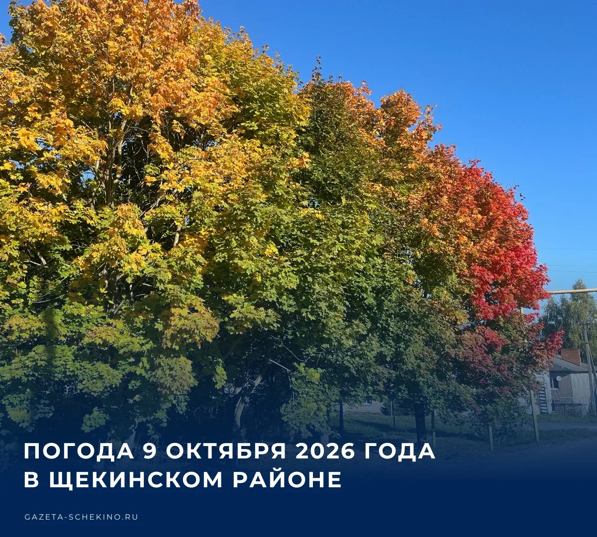 ☀️ Сегодня, 9 октября, температура воздуха днем в Щекинском районе поднимется до отметк...
