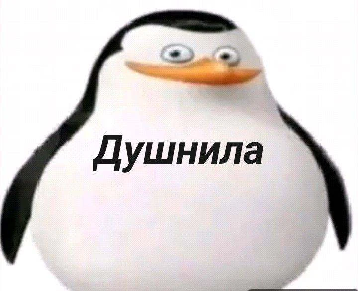 Сегодня отмечается Международный день зануды