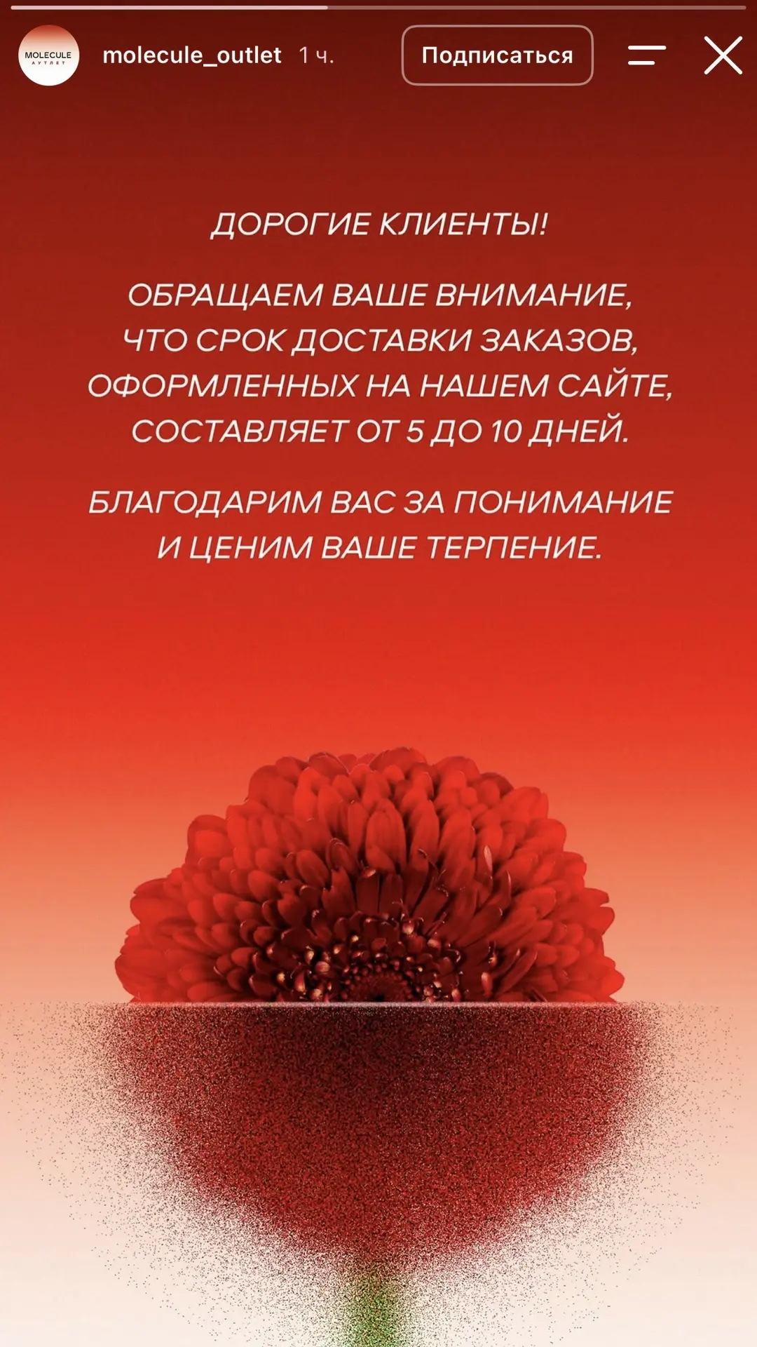 Все новости от аутлета Molecule на текущий момент.
