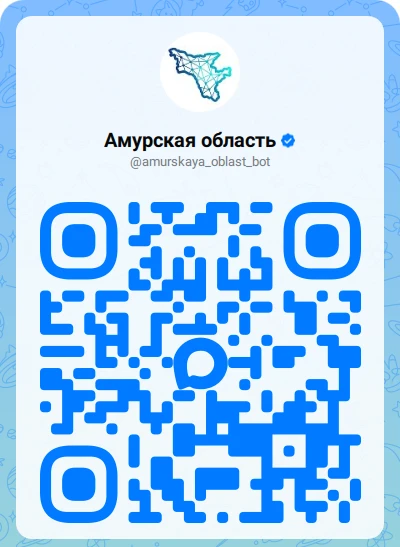 Амурская область на связи: Запущен Единый Региональный Сервис в мессенджере "МАКС"!