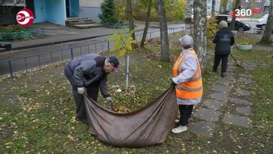 Город готовится к зиме: управляющие компании наводят порядок во дворах