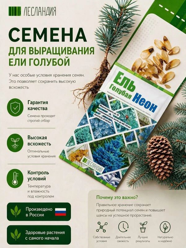https://market.yandex.ru/cc/BGs898