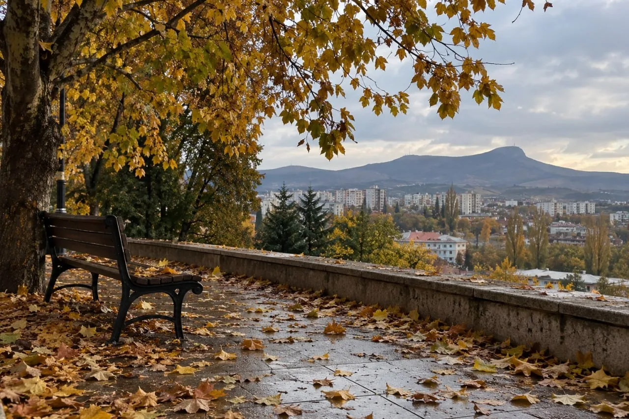 🍂 Как поддержать организм осенью