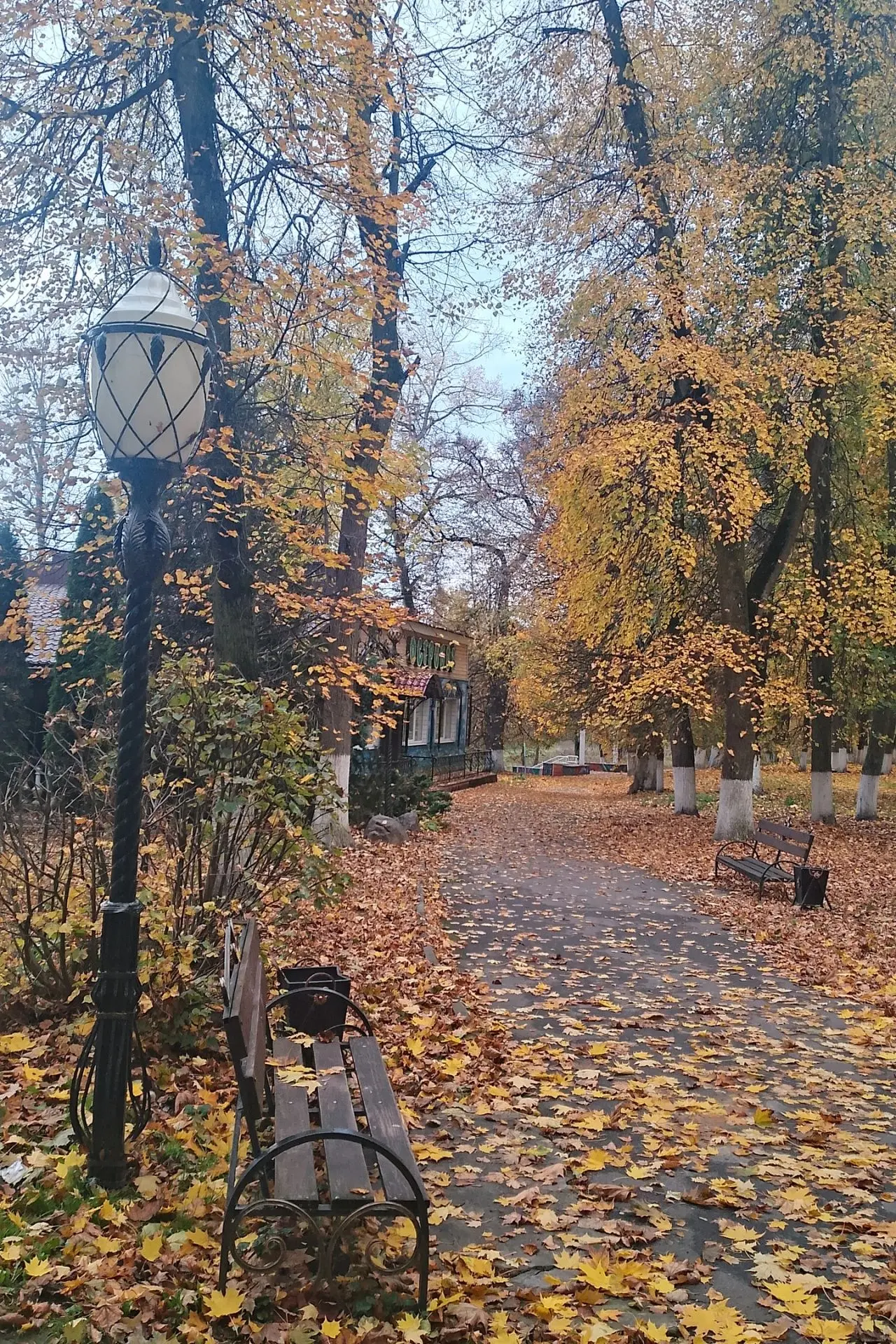 Золотая осень...