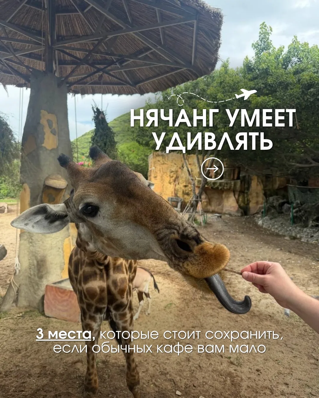 Вы знаете где перекусить в Нячанге интересно и вкусно?
