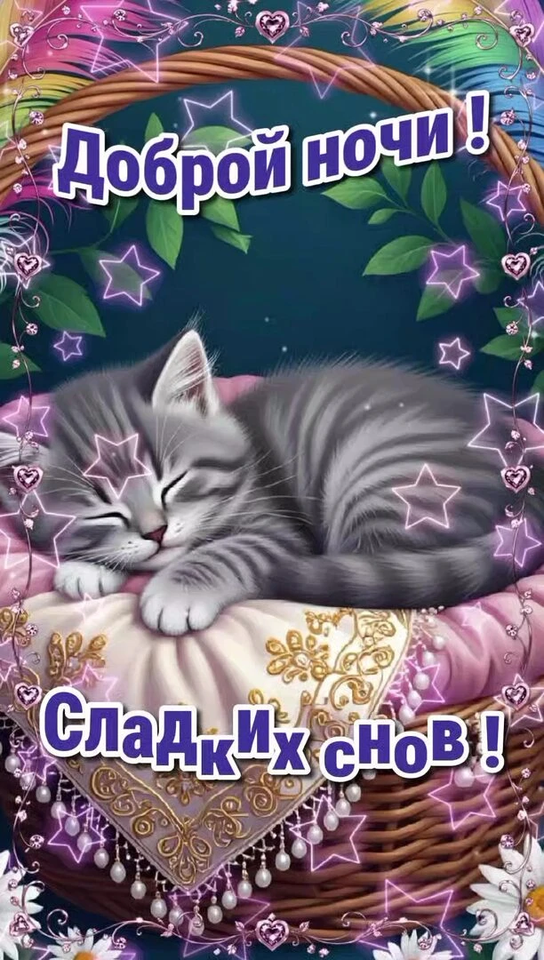 Открытки дня❤️