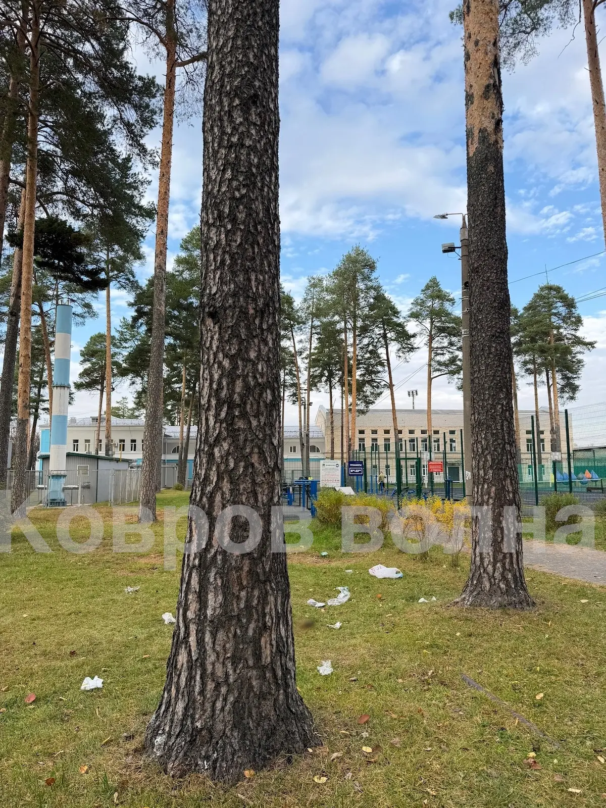 В НАШЕМ РОДНОМ ПАРКЕ РАЗБРОСАН МУСОР! ‼️🧐