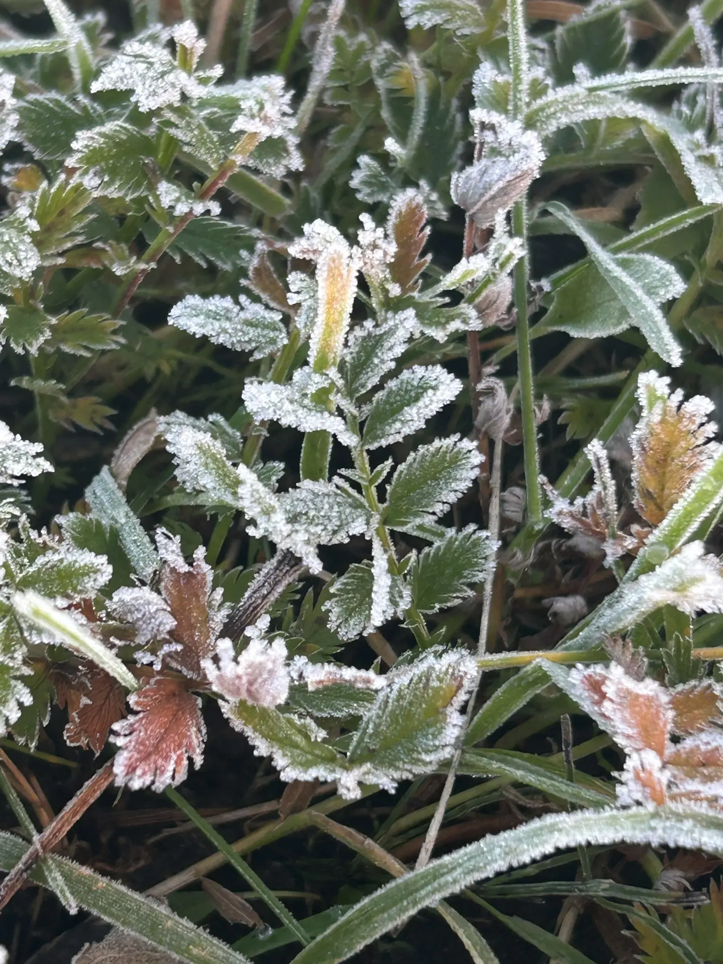 Доброе утро, Кузьмоловский🤗