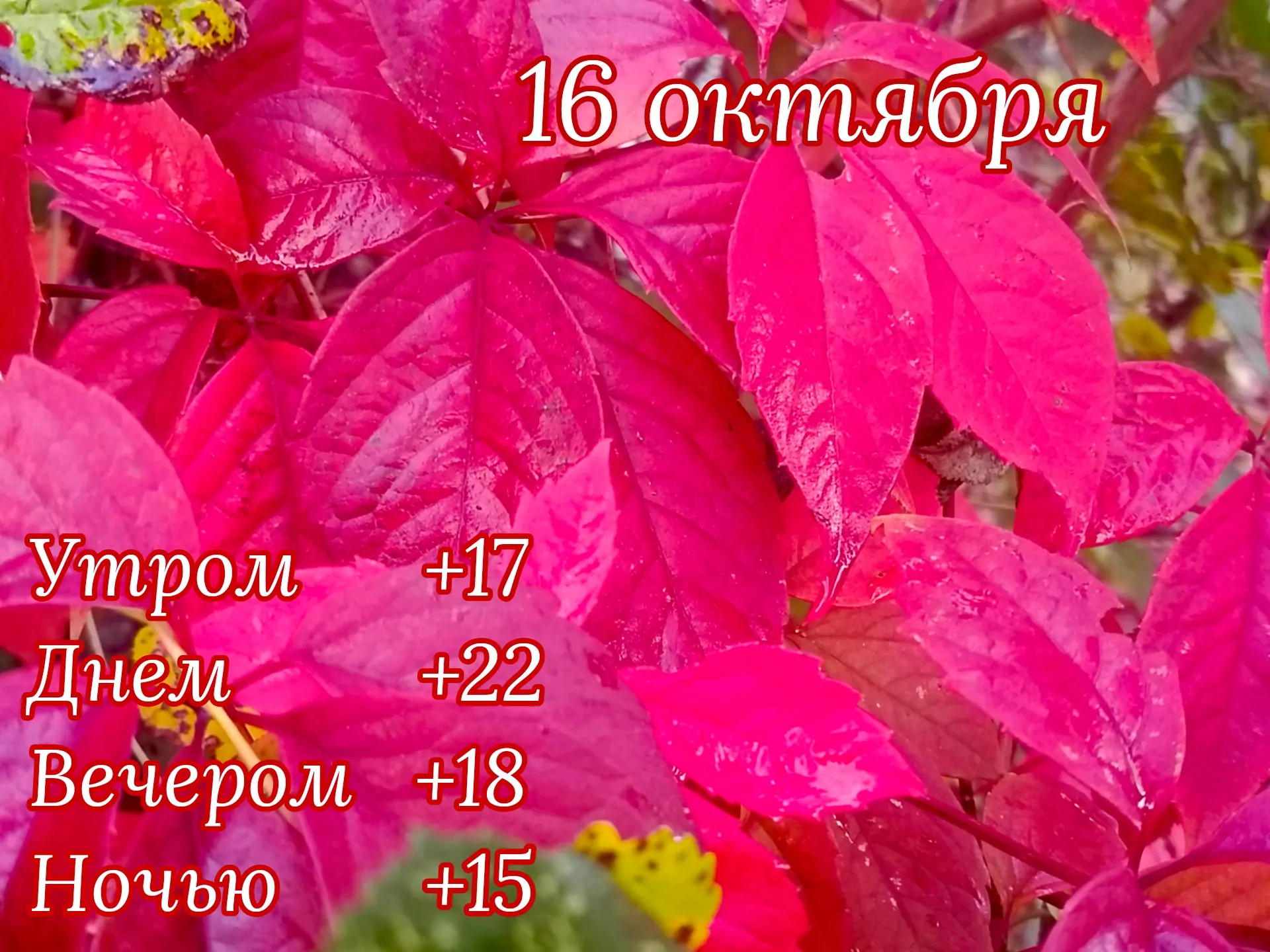 Доброе утро!