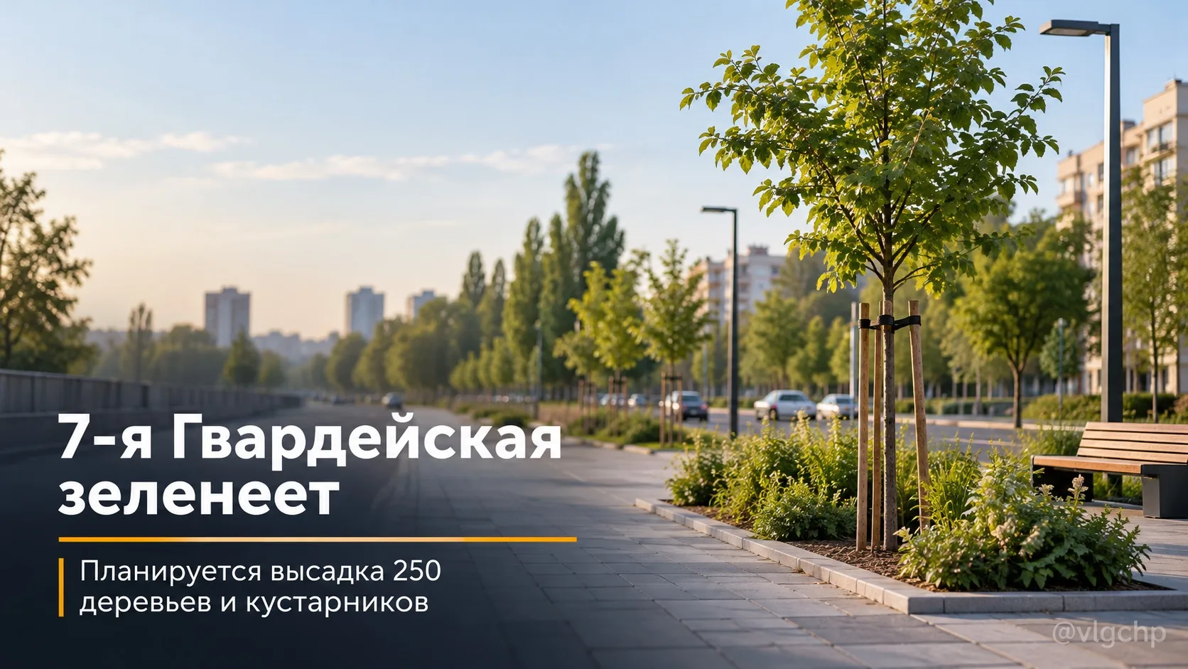 🌳 7-ю Гвардейскую в Волгограде хотят сделать зеленее.
