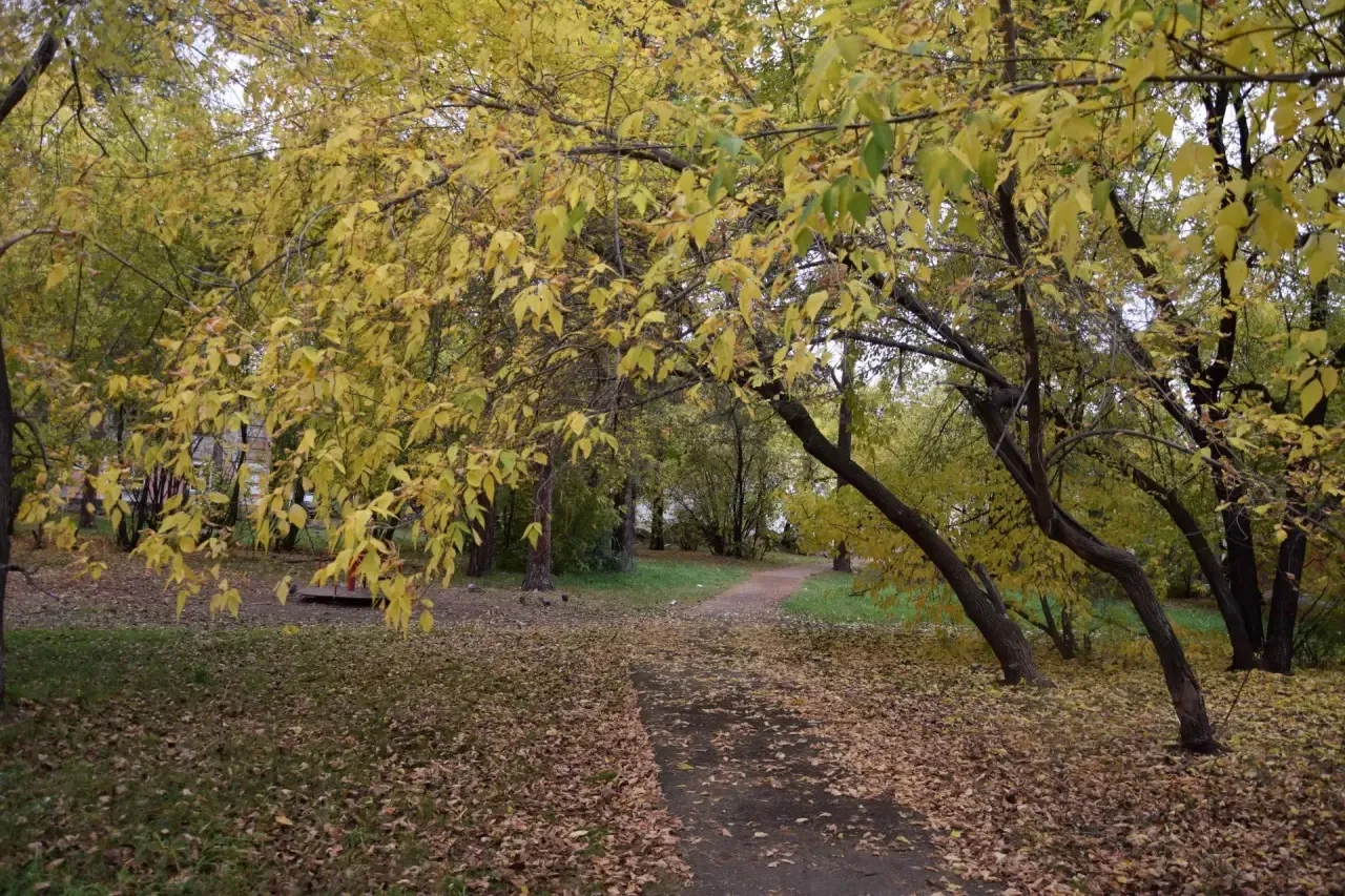 Прекрасной среды,