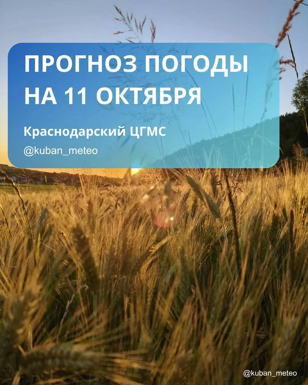 🌤️ Воскресенье, 11 октября