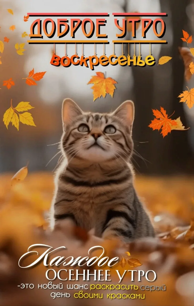 🥰Ставьте реакции и делитесь открыткой с близкими ❤️