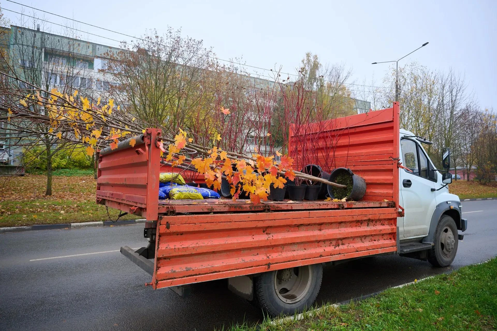 🌿 Калуга и Обнинск становятся зеленее
