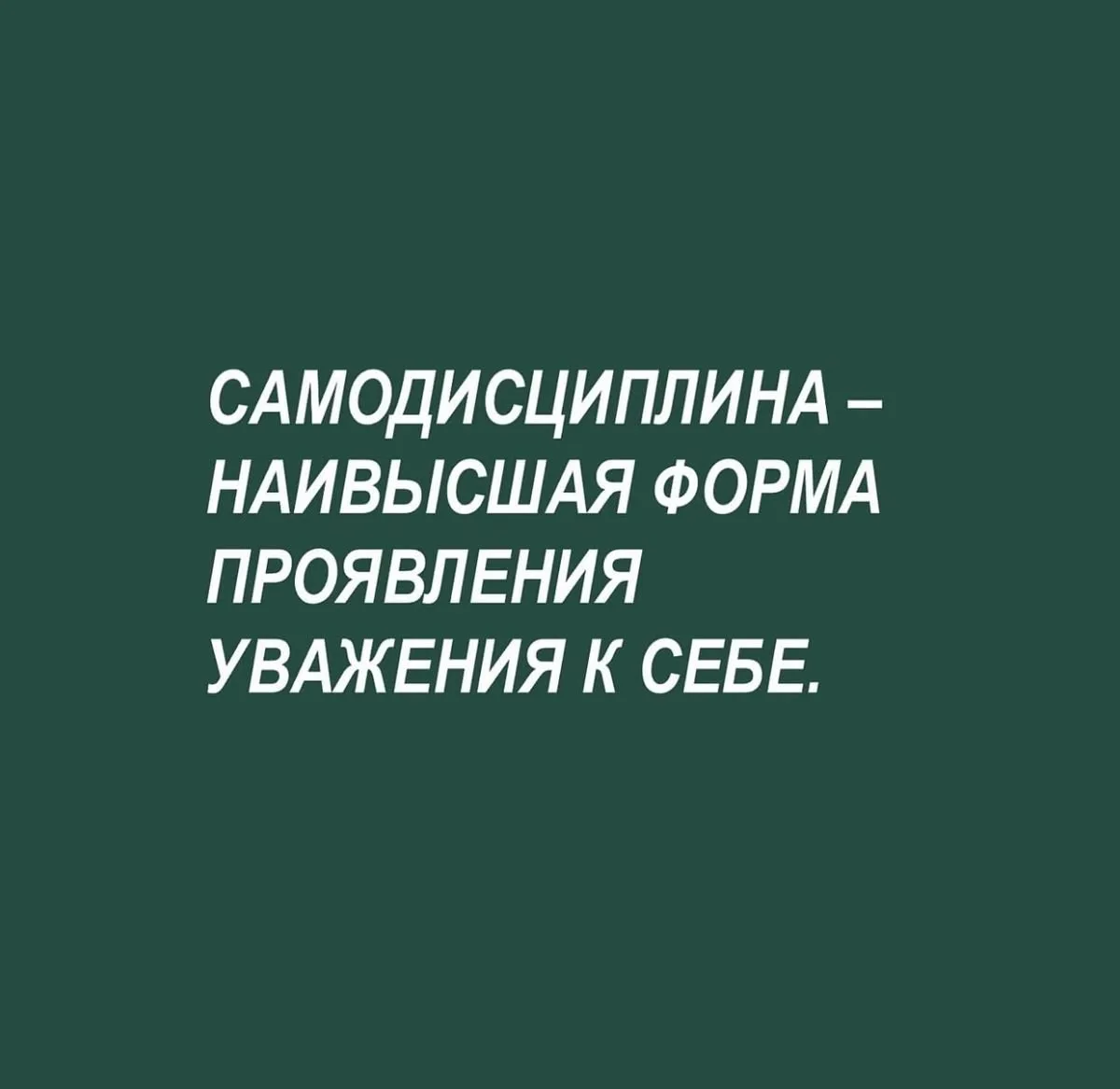 ☕️ Настройка дня