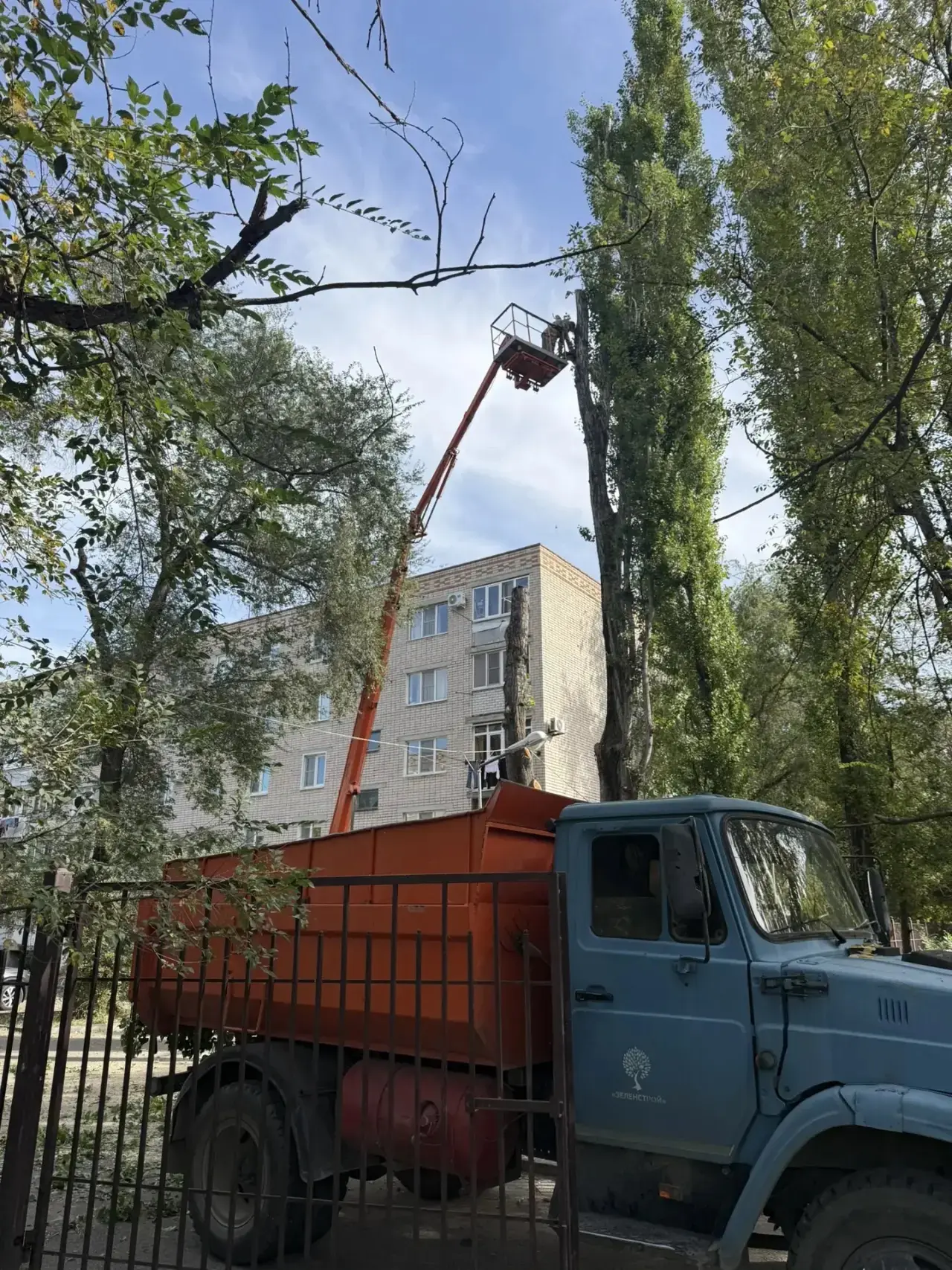 На ул. Парковой (МКОУ «Гимназия N16) ведутся работы по обрезке деревьев🌳