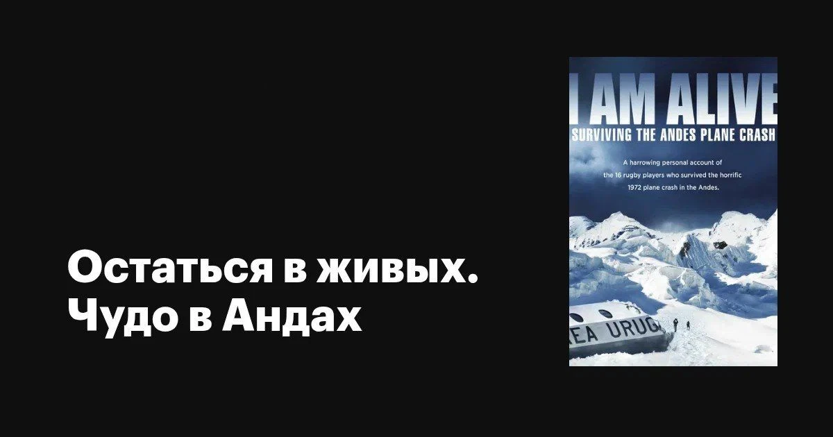 📽️Остаться в живых. Чудо в Андах (2010)