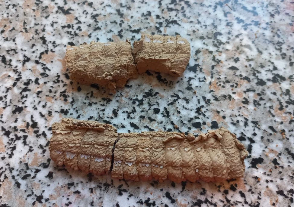 Угадайте что это?
