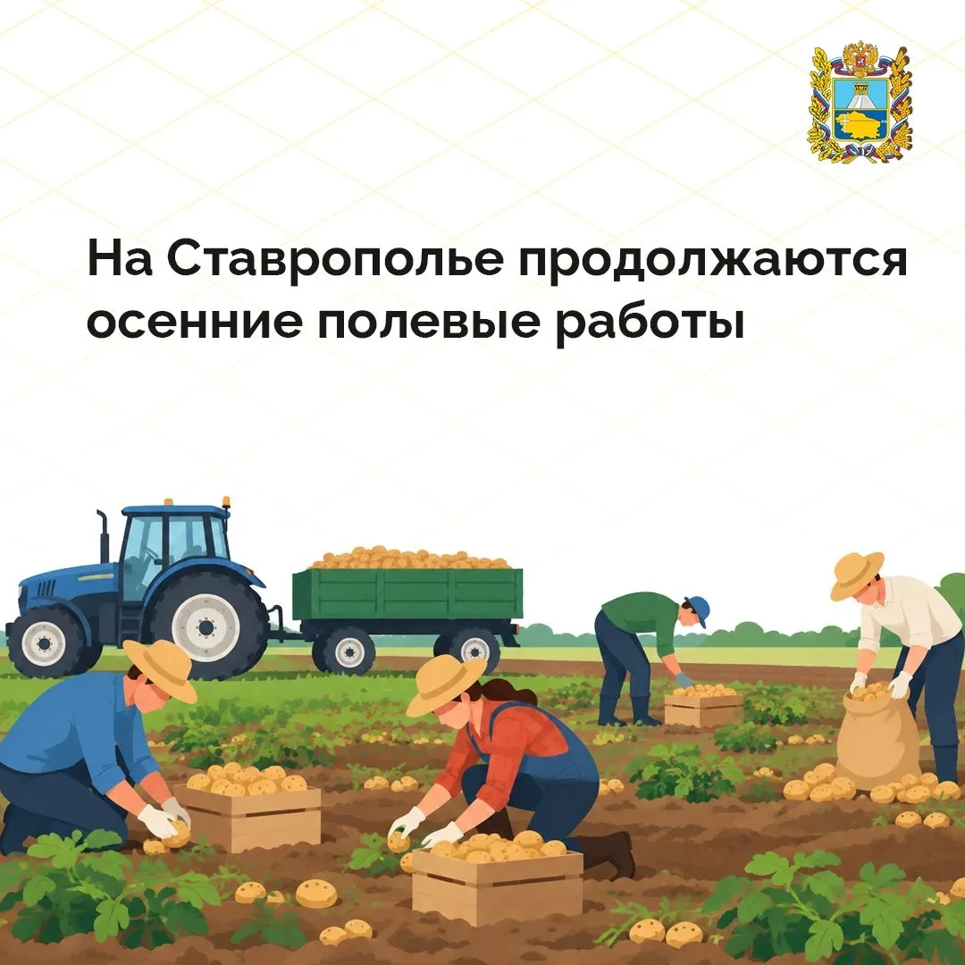 🌾 Осенние полевые работы в Ставрополье продолжаются