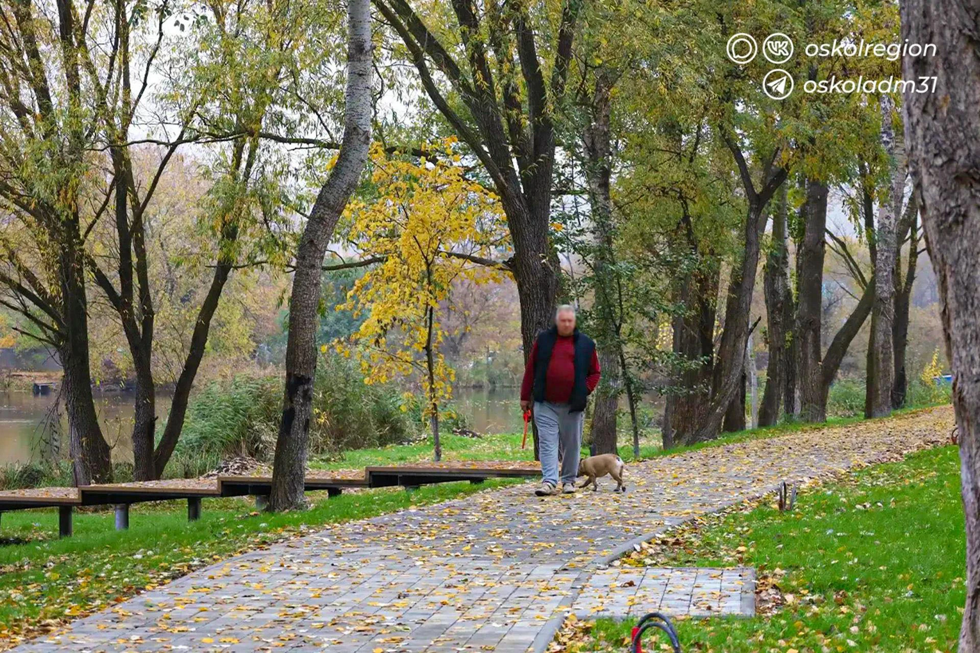 Доброе утро, старооскольцы!