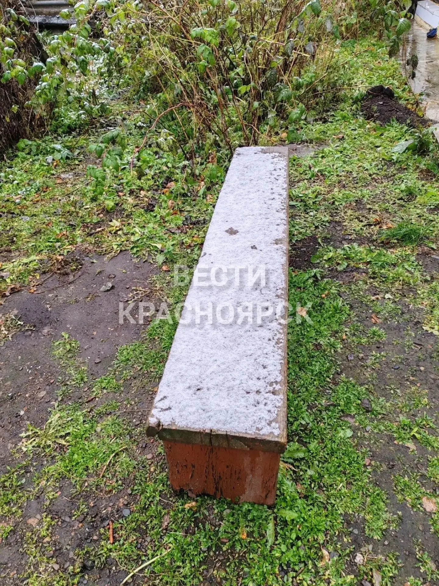 Снег выпал в деревне Николаевка Балахтинско-Новосёловского округа ❄️