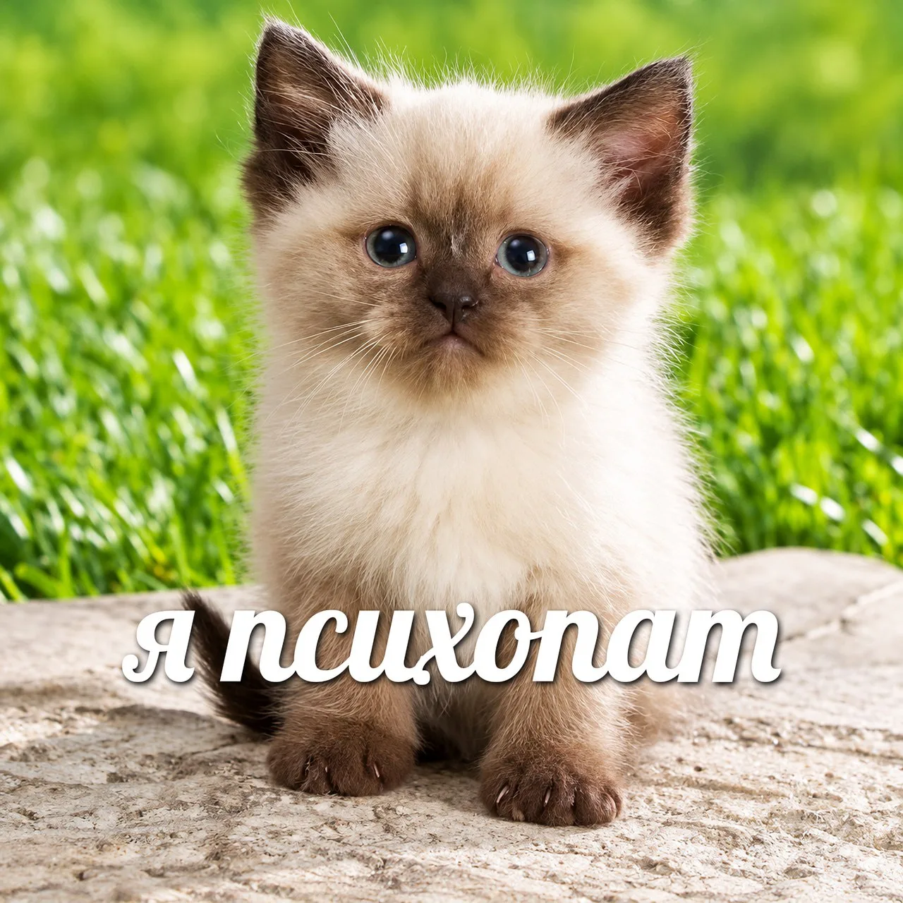 Сегодня отмечается Международный день психического здоровья