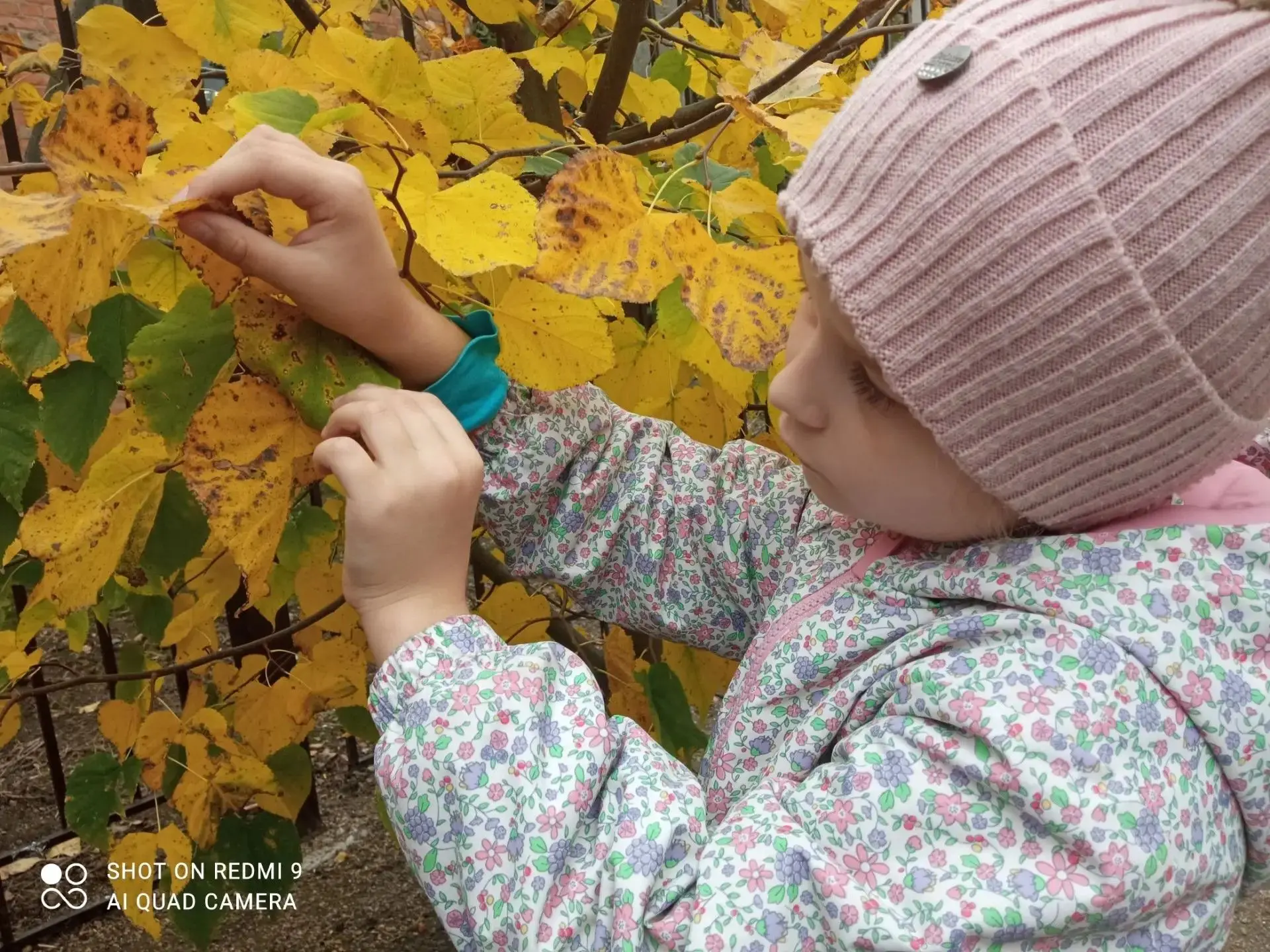 🍁«Осень — это время настоящей магии! Сегодня наши ребята из подготовительной группы де...