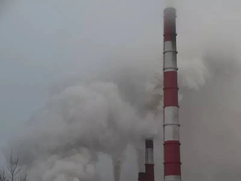 🌳 Экологи проверят сотни предприятий в пяти городах края