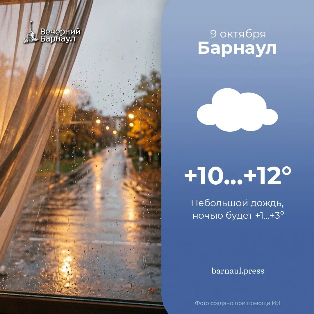 Небольшой дождь ожидается сегодня в Барнауле.