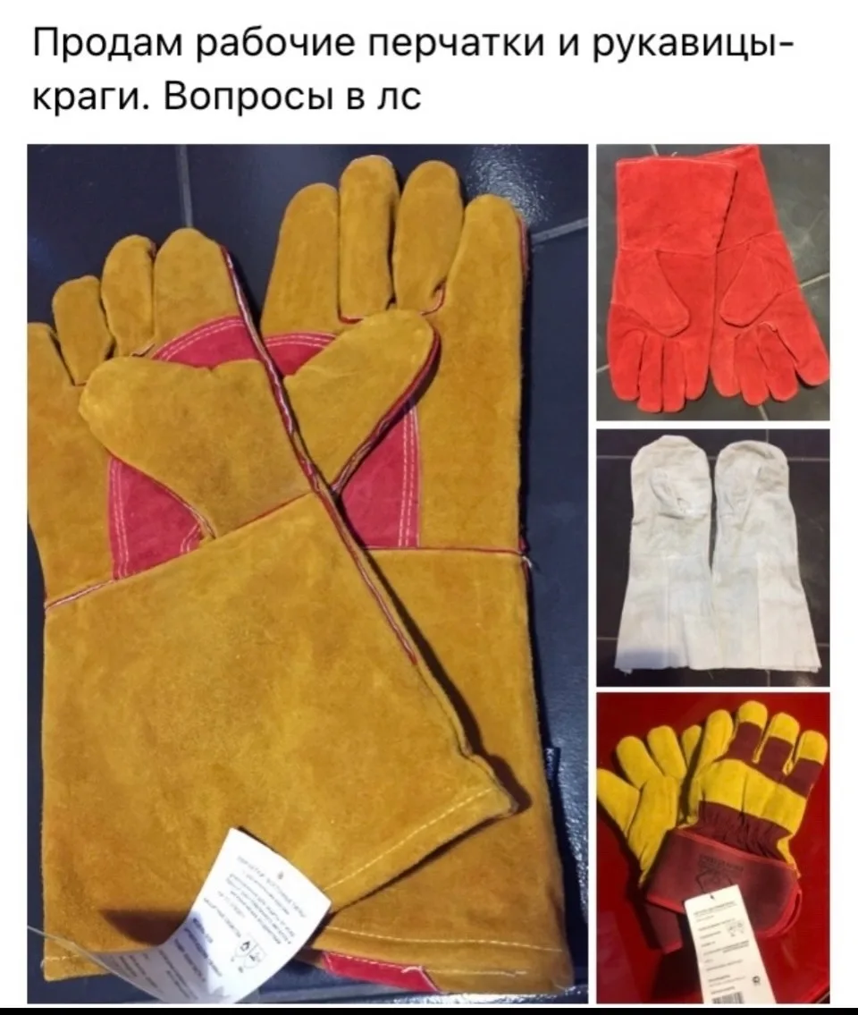 👤 Светлана Шитова