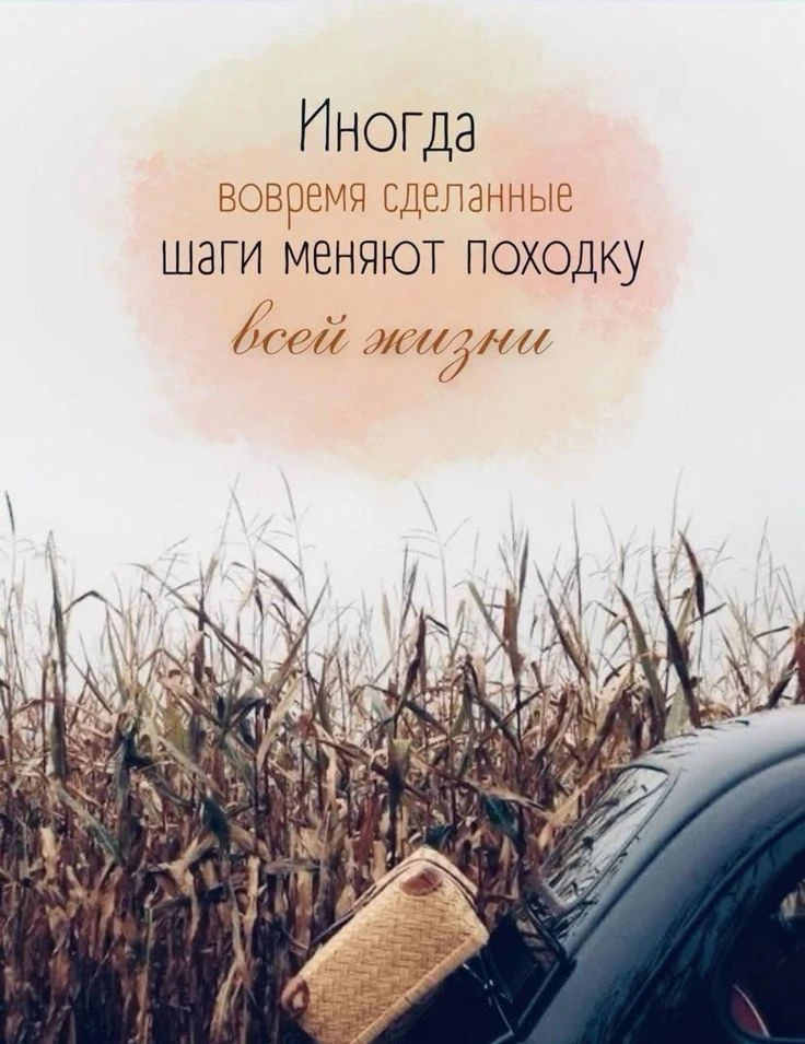 https://max.ru/invista123456