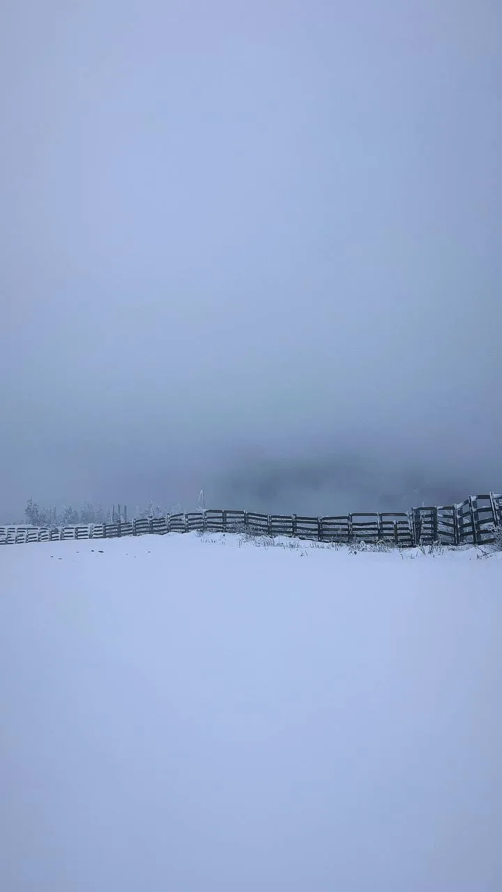 Снежный пейзаж в секторе Е Шерегеша ☃️
