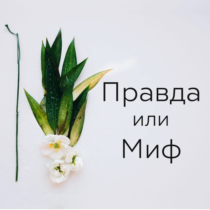 НАКОПИТЕЛЬНЫЙ ЭФФЕКТ
