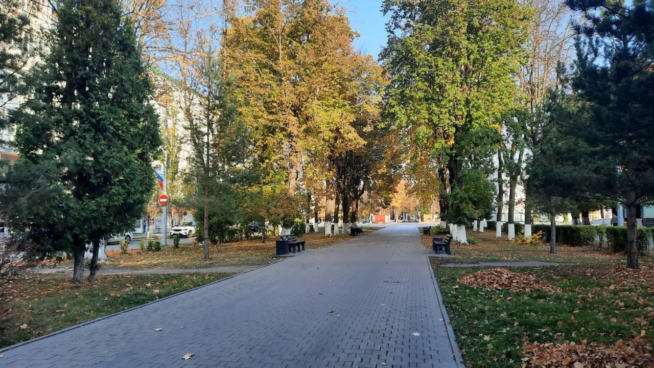 Сегодня в Новомосковске потеплеет до +15…+20 градусов. Существенных осадков синоптики н...