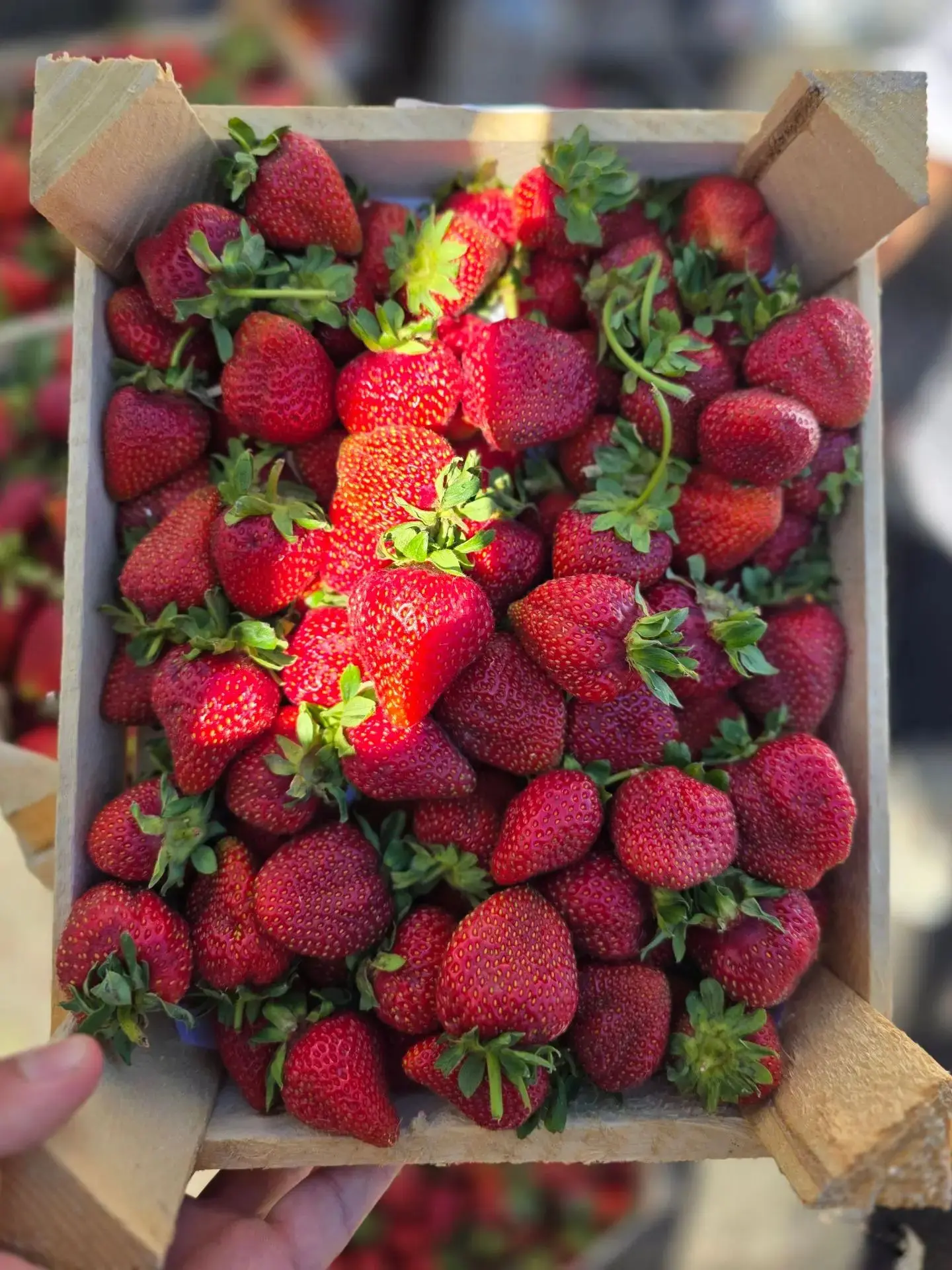 🍓🍊✨ Ягодкино - Вкус счастья в каждой доставке! ✨🫐🥑