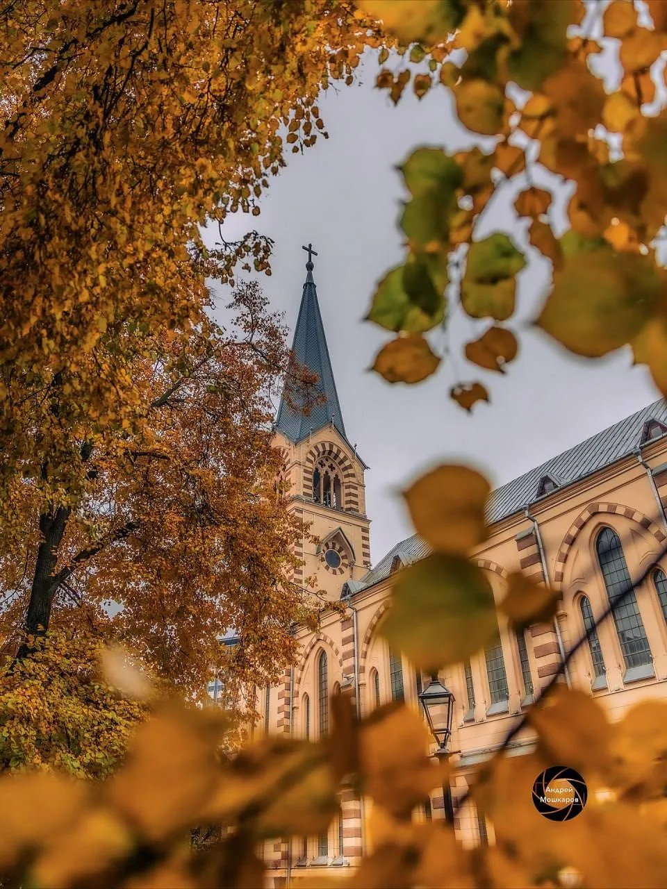 🍁В самом разгаре Золотая Осень - время для красивых фотографий😉