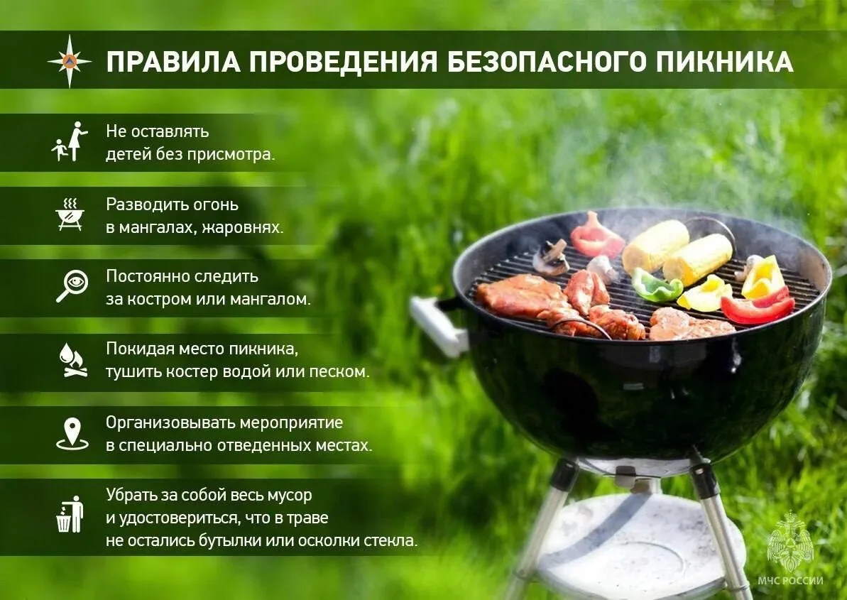 🌿Безопасный отдых на природе