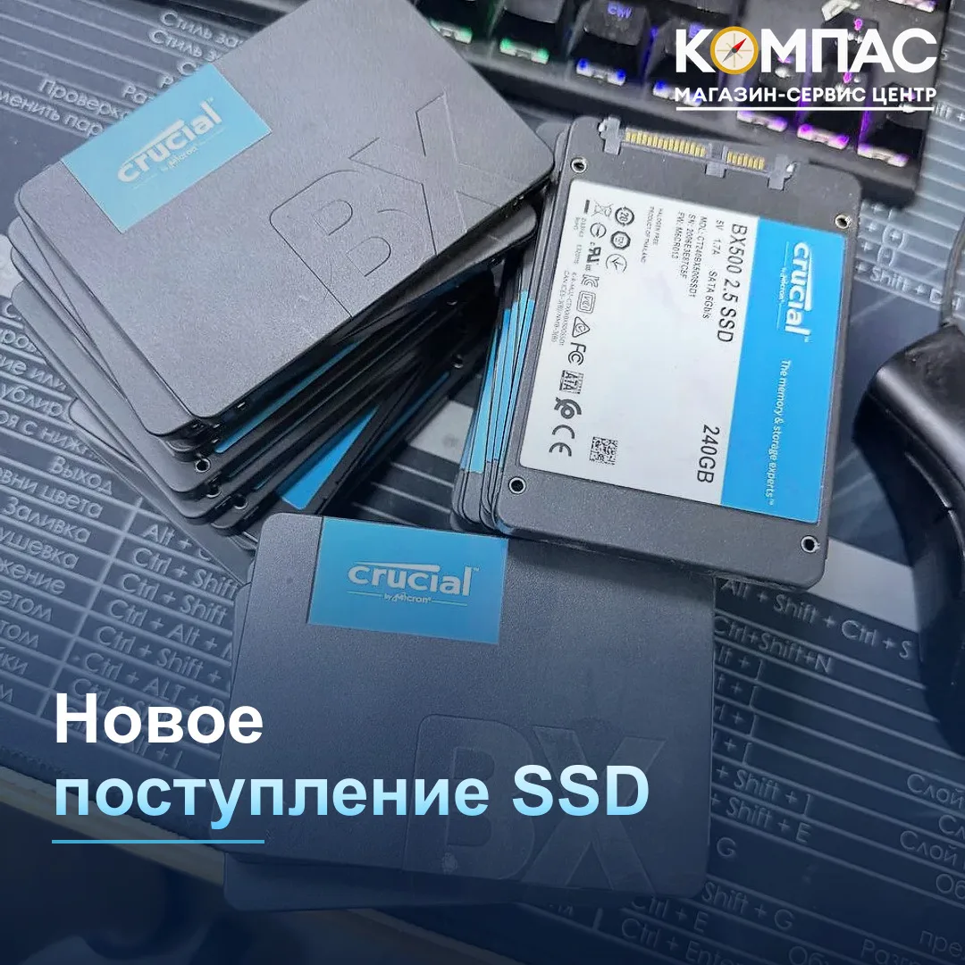 💻 Пополнили ассортимент SSD-накопителей от 2000₽! Выбирайте подходящий объём и форм-фа...