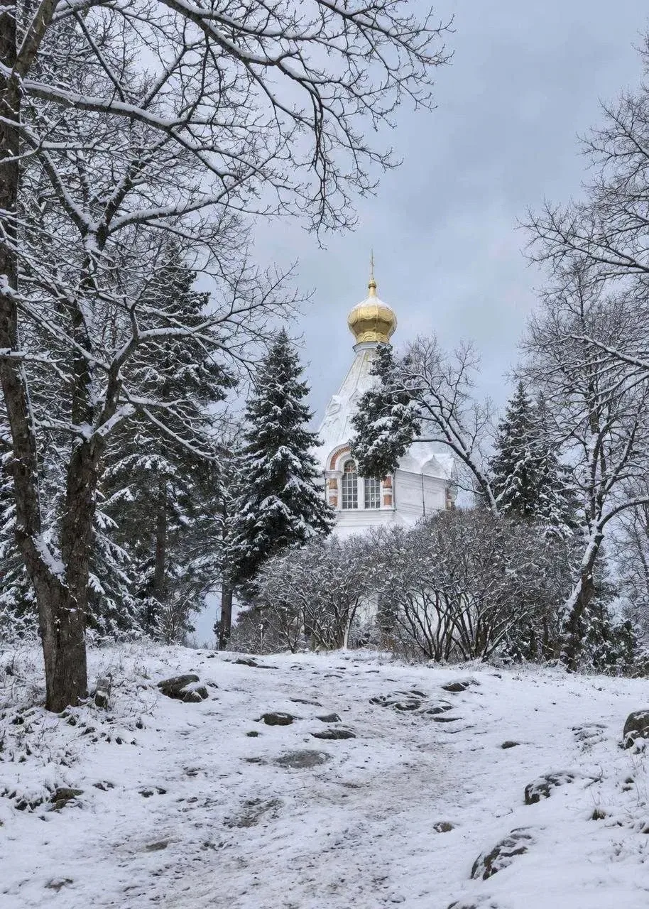 Это точно программа тура? Выглядит как сценарий новогоднего сказочного фильма! 😱
