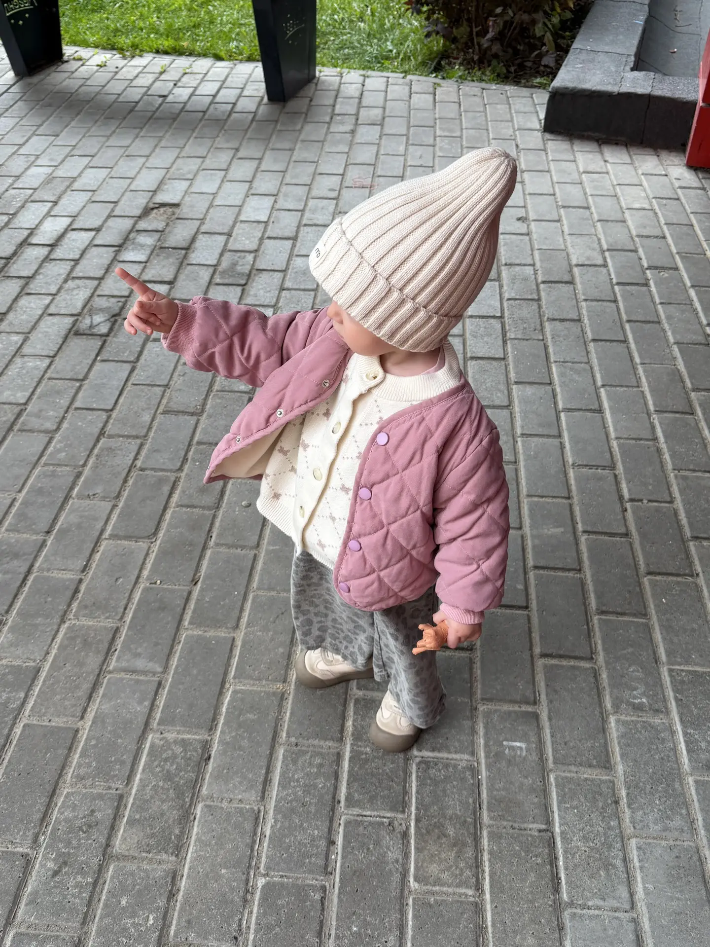 Главное, взять с собой собаку 😄