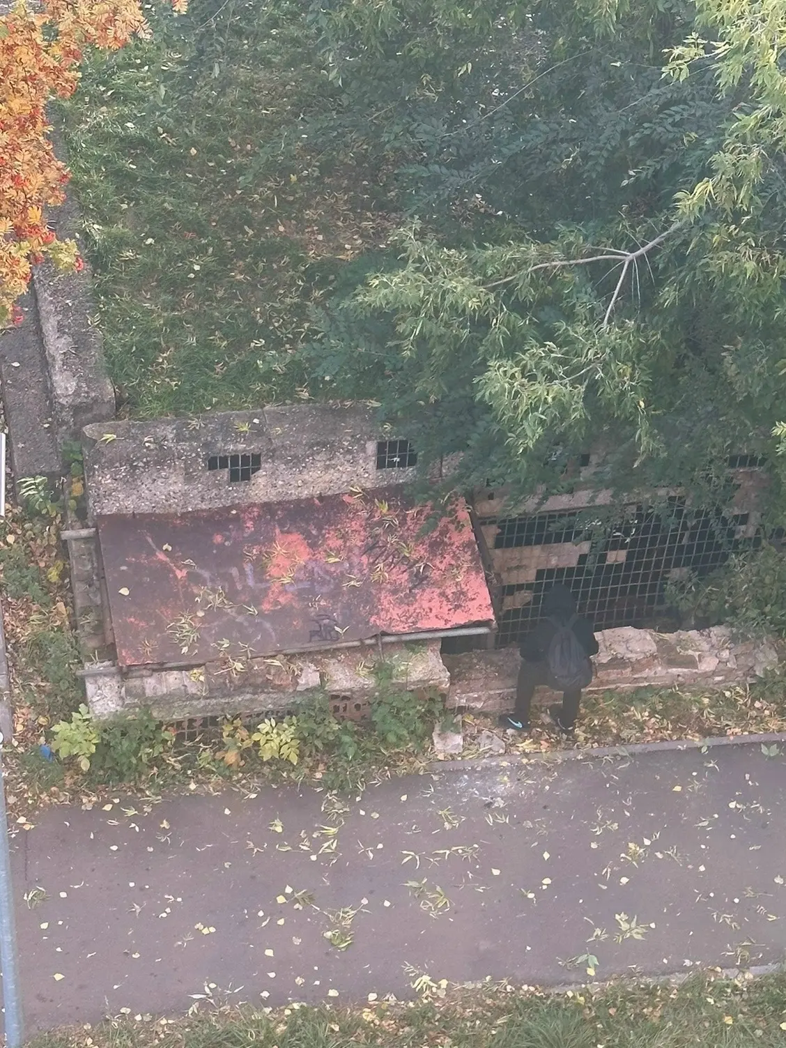 Сзади дома 24/08 1го подъезда дети ломают кирпичи чтоб попасть в этот подвал или что то...
