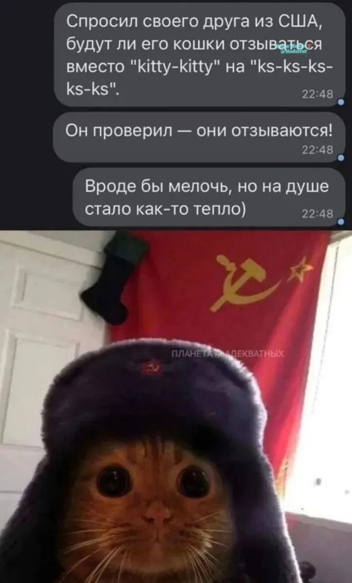 💫 Из нашей постоянной рубрики: «No comment»