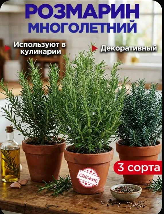 Используют в кулинарии 🌯